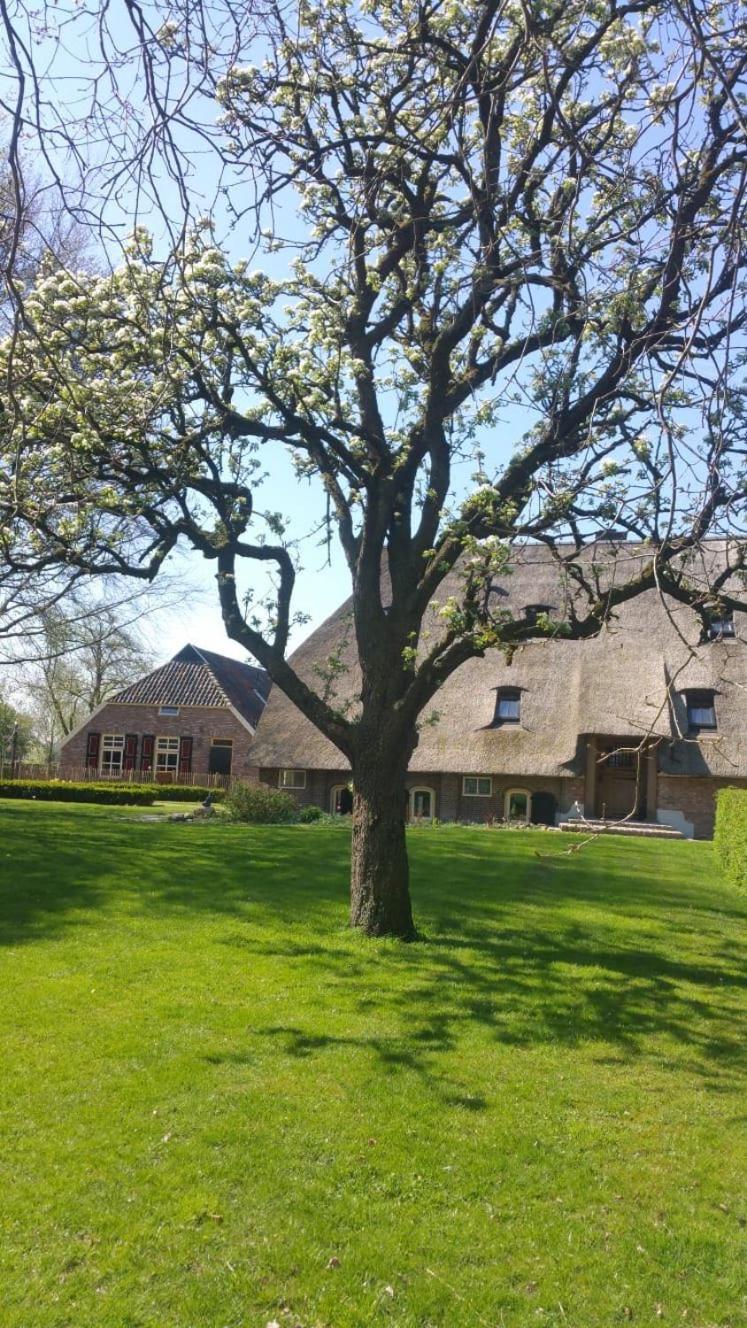 Landgoed Groot Boerle Bed & Breakfast Wijhe Exterior photo